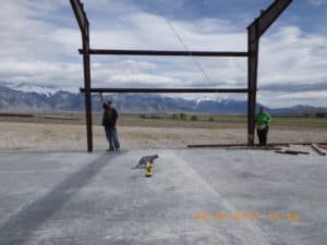 Steel Building Being Constructed